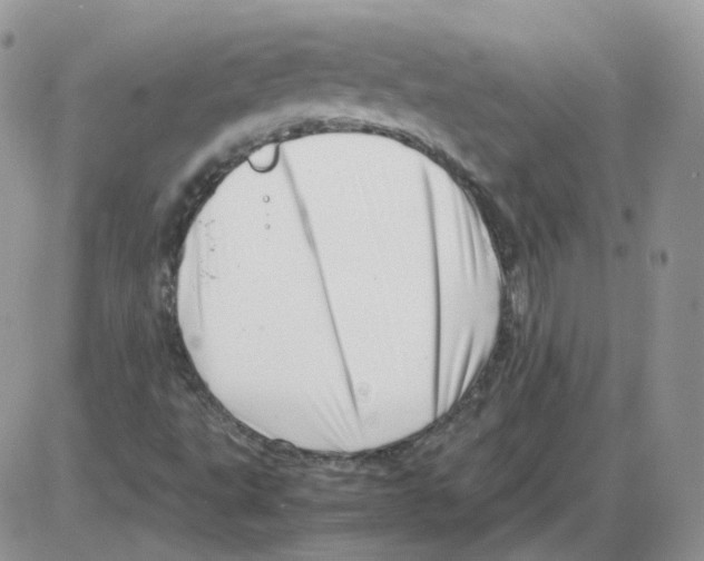 X0000086091495200704202203