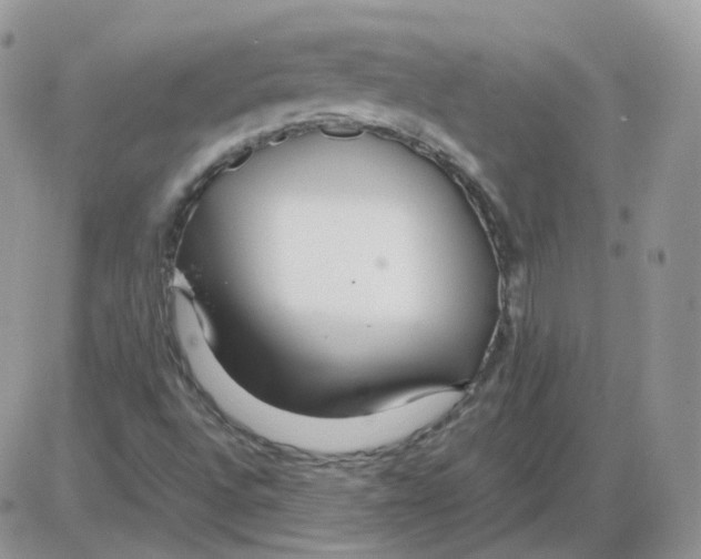 X0000086091496200704202203