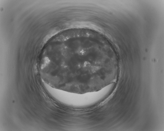 X0000086091497200704202203