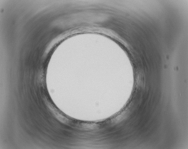 X0000086091498200704202203