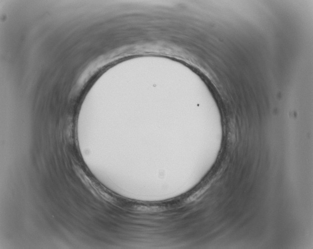 X0000086091499200704202203