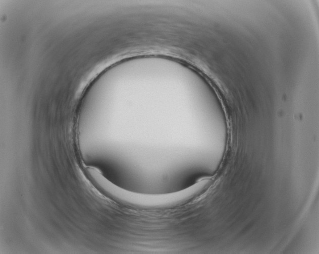 X0000086091500200704202203