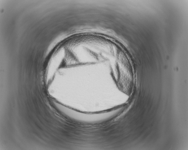 X0000086091501200704202203