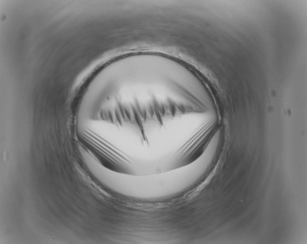 X0000086091502200704202203