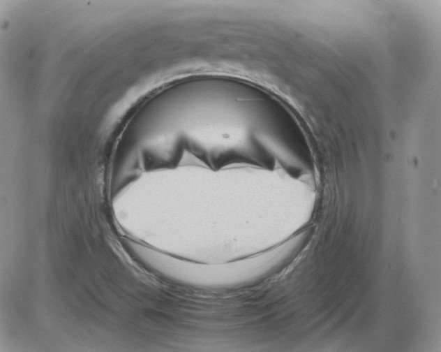 X0000086091503200704202203