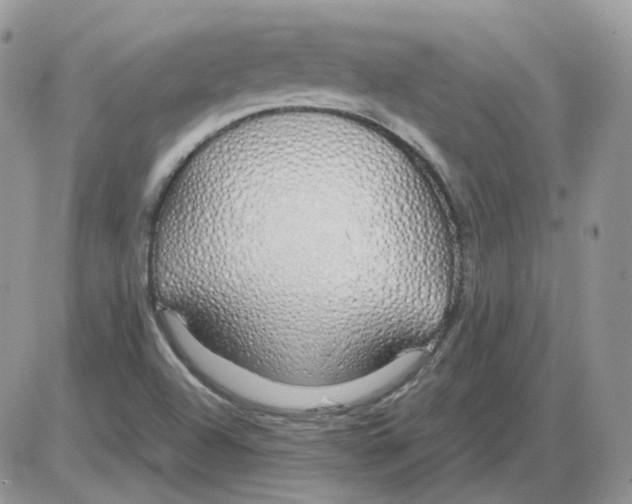 X0000086091504200704202203