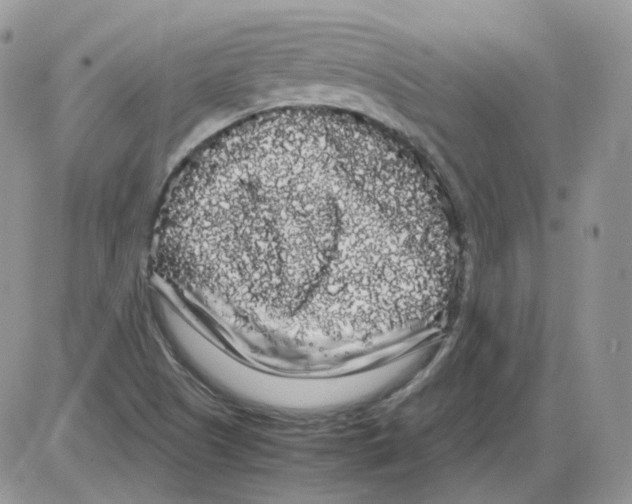 X0000086091505200704202203