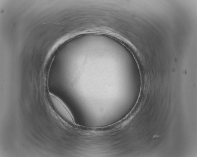 X0000086091506200704202203