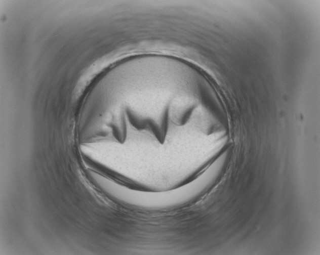 X0000086091507200704202203