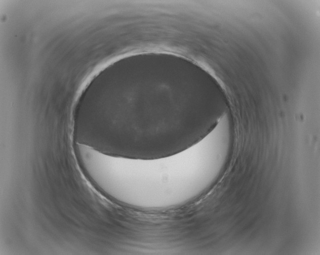 X0000086091508200704202203