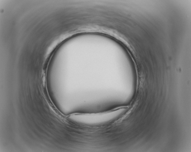 X0000086091509200704202203