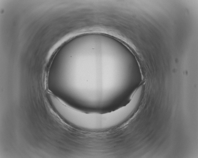 X0000086091510200704202203