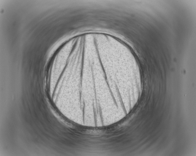 X0000086091511200704202203