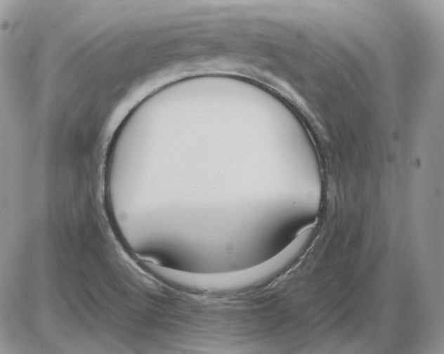 X0000086091512200704202203