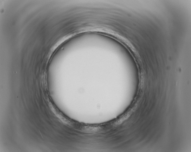 X0000086091513200704202203