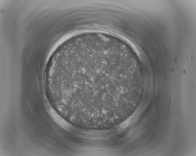 X0000086091514200704202203