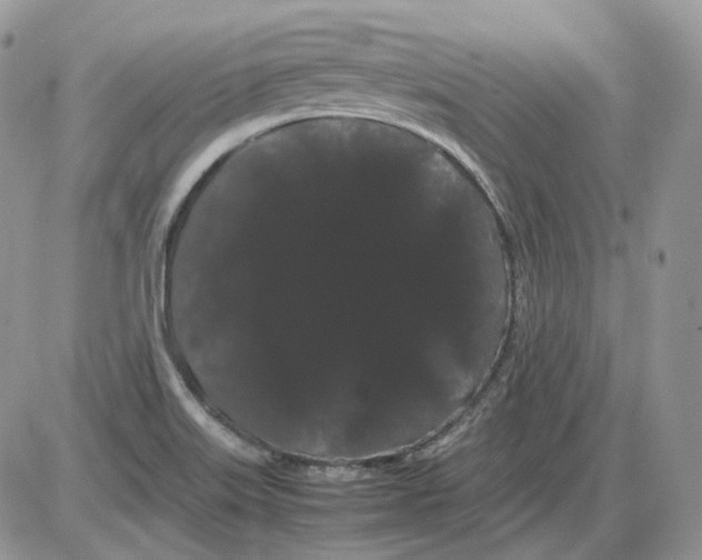 X0000086091515200704202203