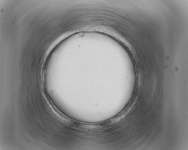 X0000086091517200704202203