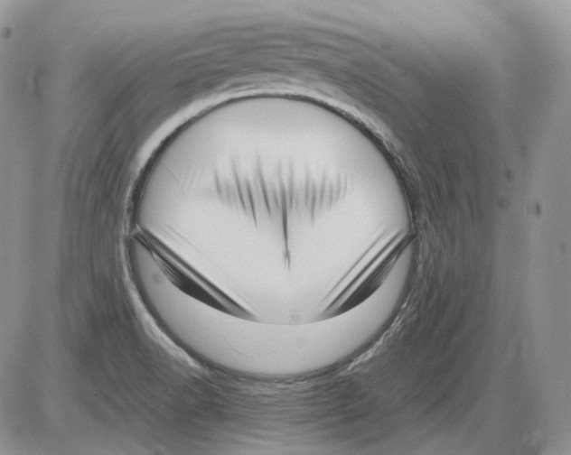 X0000086091518200704202203