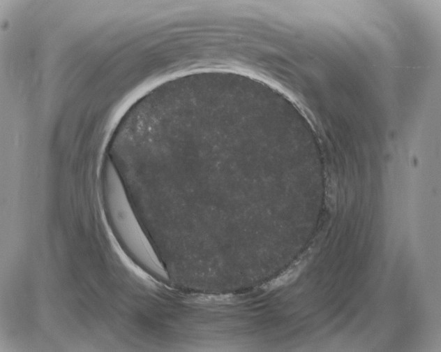 X0000086091519200704202203