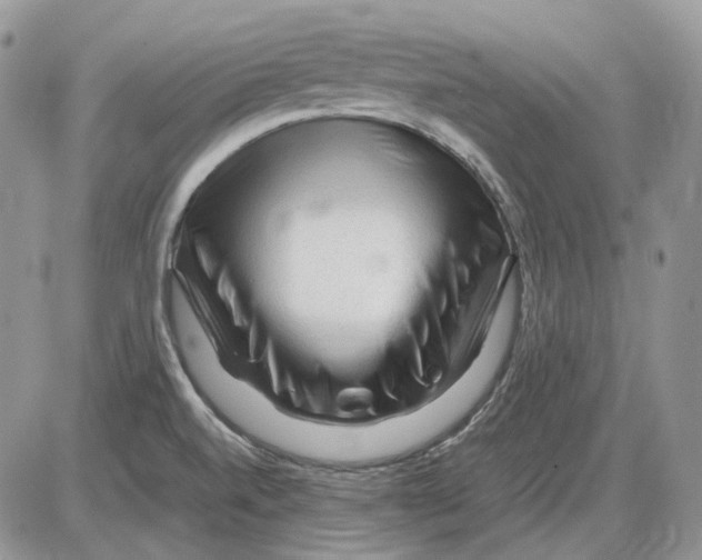 X0000086091520200704202203