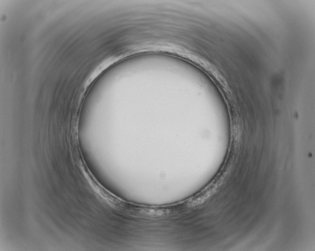 X0000086091521200704202203