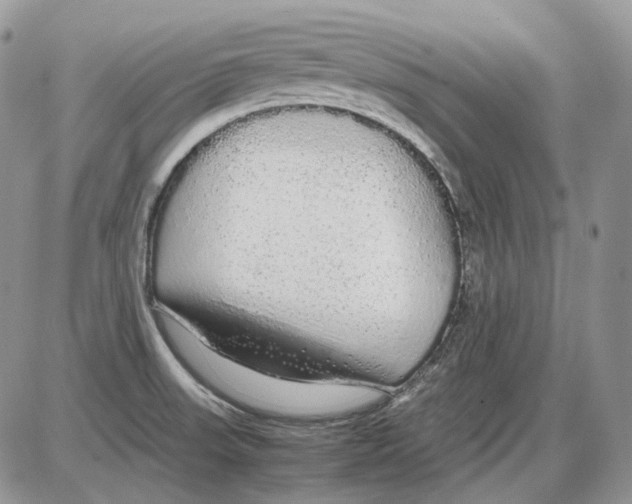 X0000086091523200704202203