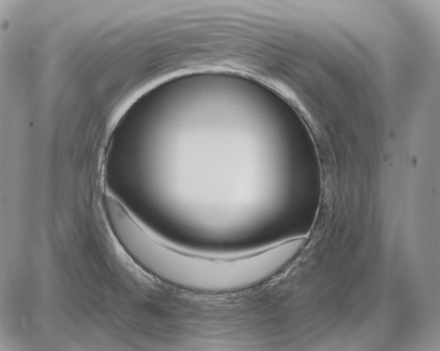 X0000086091524200704202203