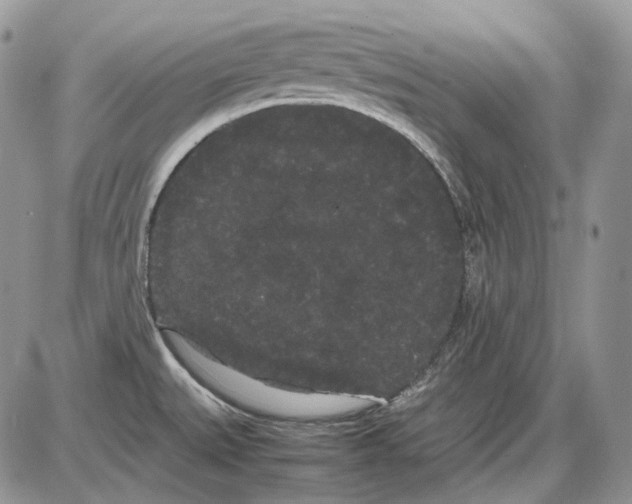 X0000086091527200704202203