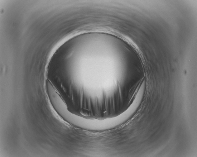 X0000086091528200704202203