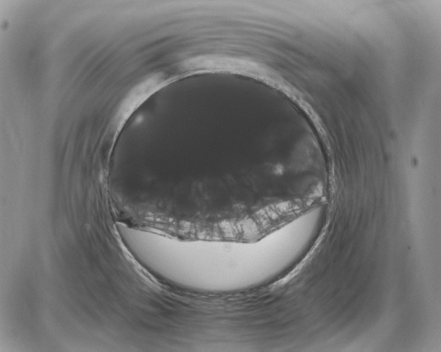 X0000086091529200704202203