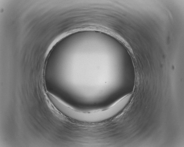 X0000086091530200704202203