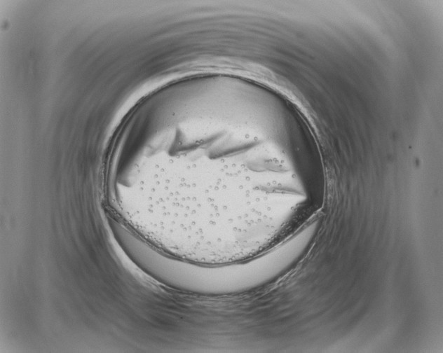 X0000086091531200704202203