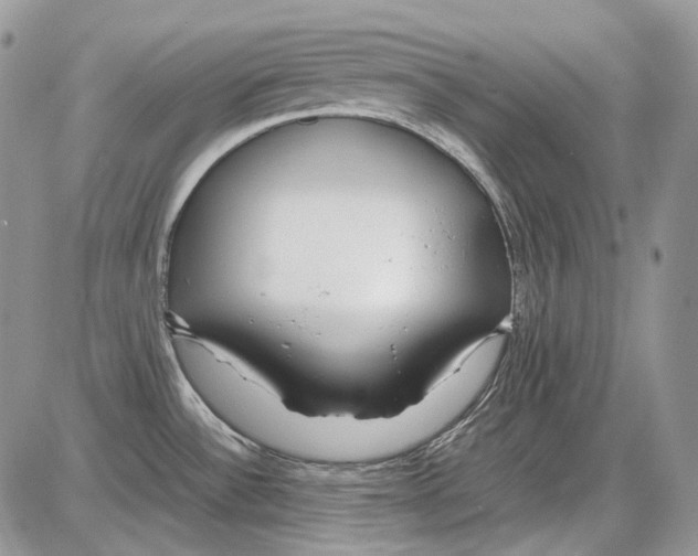 X0000086091532200704202203