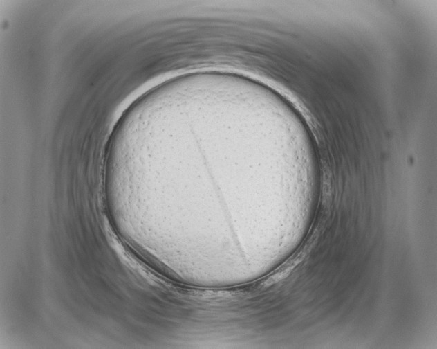 X0000086091534200704202203