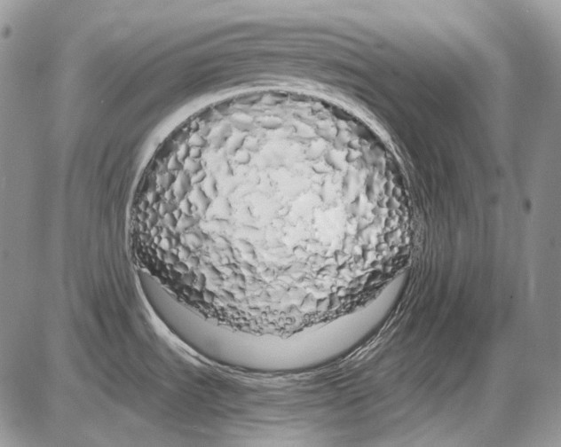 X0000086091535200704202203