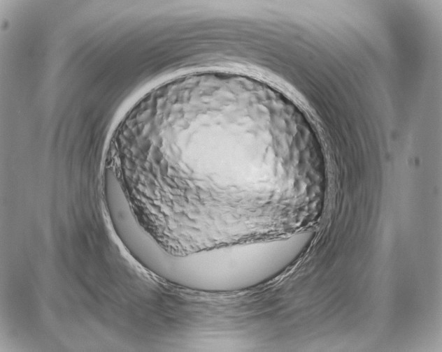 X0000086091536200704202203