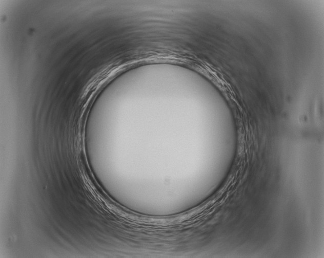 X0000086100002200703231102