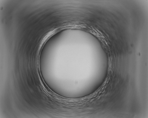 X0000086100003200703231102