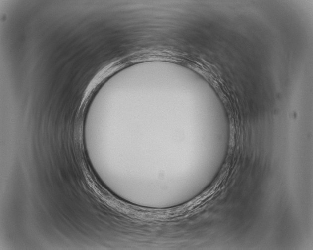 X0000086100004200703231102