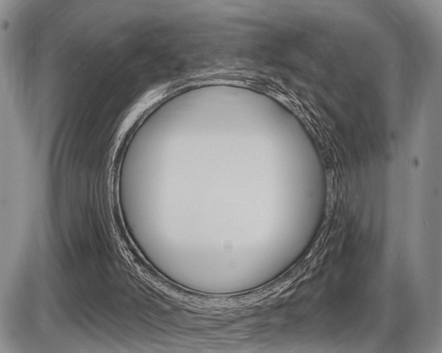 X0000086100006200703231102
