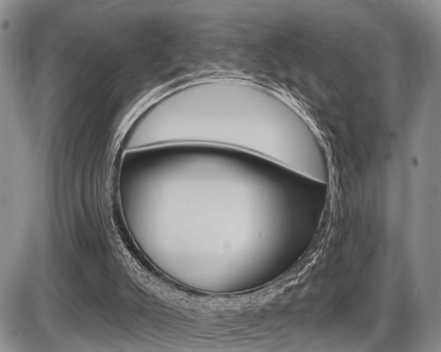 X0000086100007200703231102