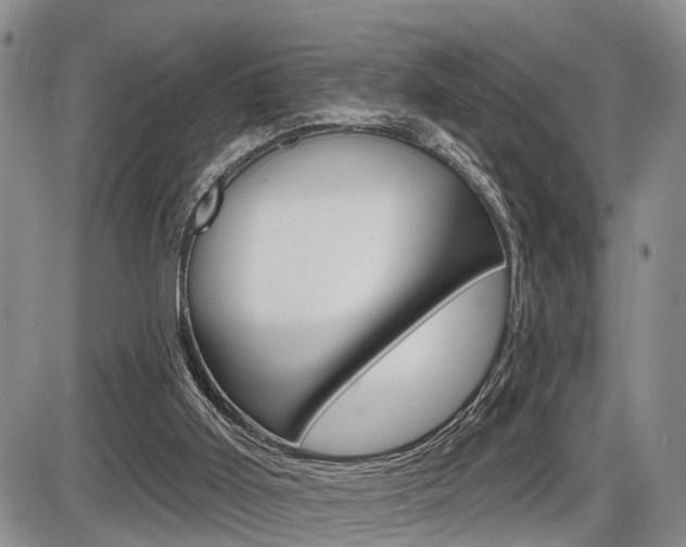 X0000086100011200703231102