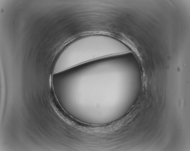 X0000086100013200703231102