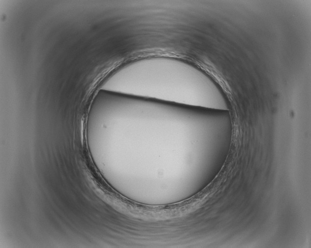X0000086100014200703231102