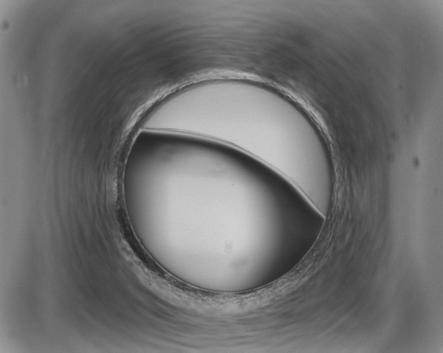 X0000086100015200703231102