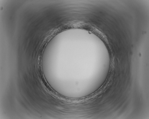 X0000086100018200703231102