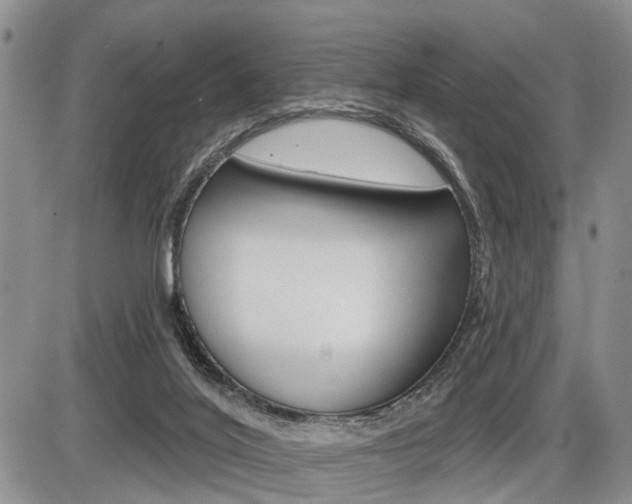 X0000086100020200703231102