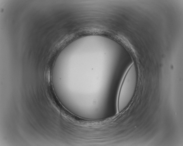 X0000086100021200703231102