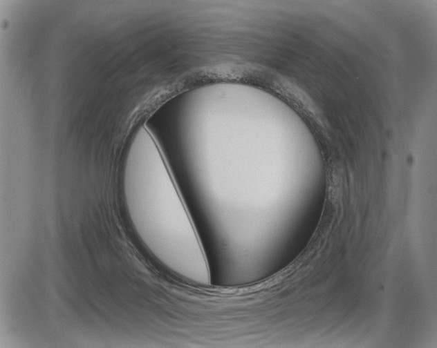 X0000086100023200703231102
